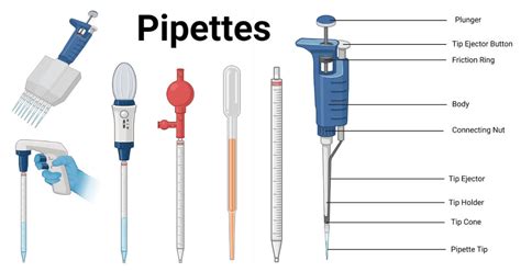 kin of a pipette|Pipette.